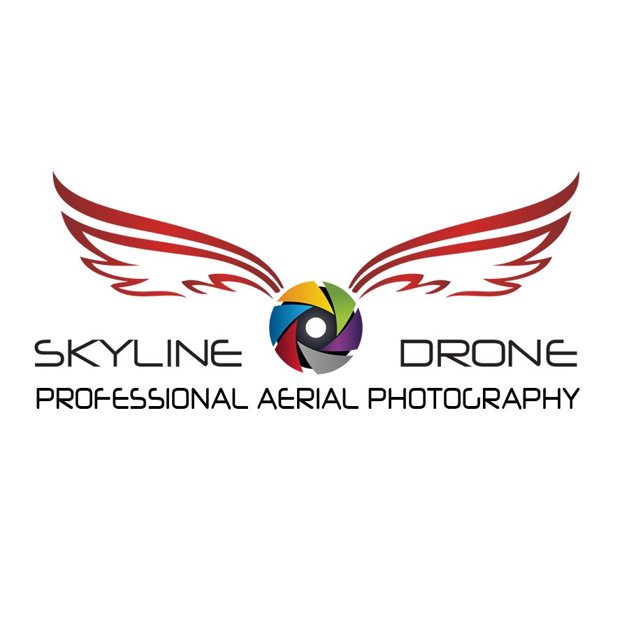 SkylineDroneService Logo