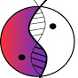 SoltecBioscience Logo