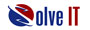 SolveITInc Logo