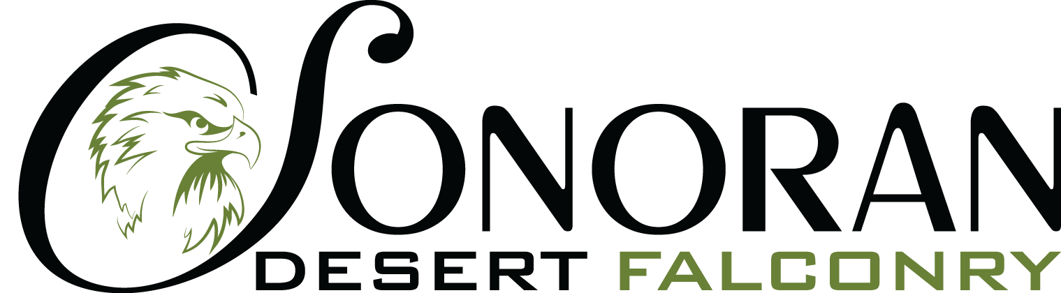 SonoranDesertFalcon Logo