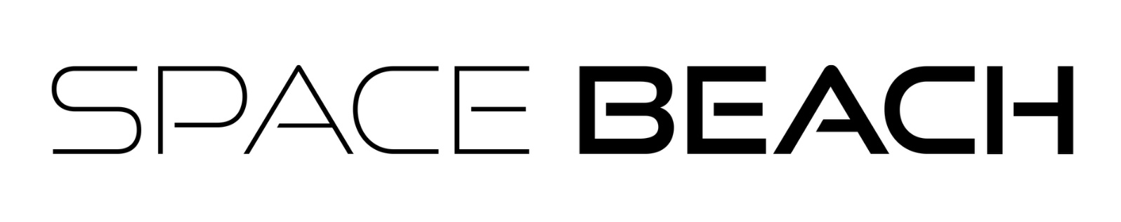 Space Beach Inc Logo
