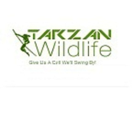 Tarzan Wild Life Control Logo