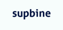 Supbine Logo