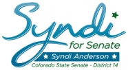 SyndiforSenate2012 Logo
