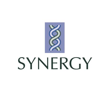 Synergy Financial Systems Logo