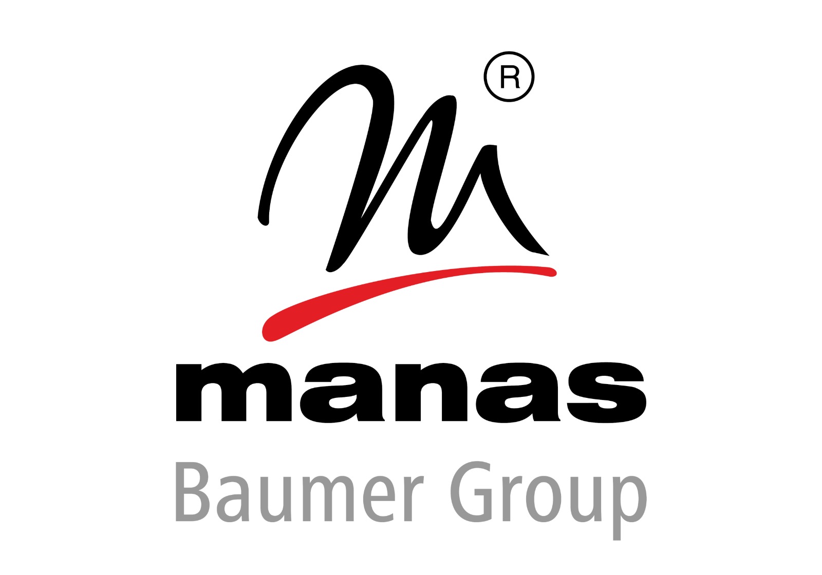 Manas MicroSystems Logo