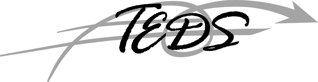 TEDS_2007 Logo
