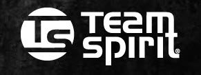 Team-Spirit Logo