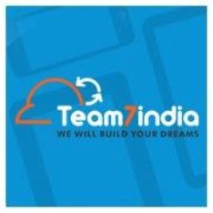 Team7 India Logo