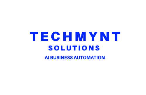 Techmynt Solutions Logo