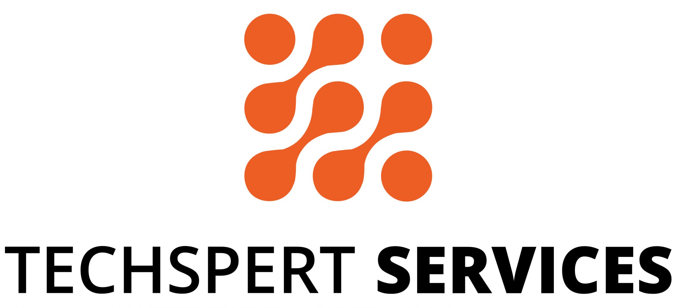 TechspertServices Logo