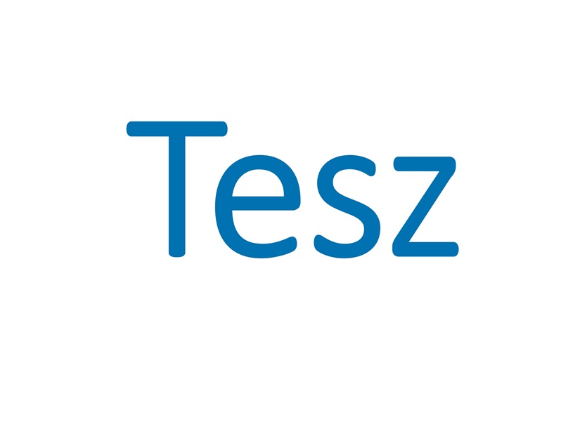 Tesz Technologies Private Limited Logo