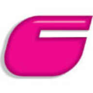 The Guru Group, Inc. Logo