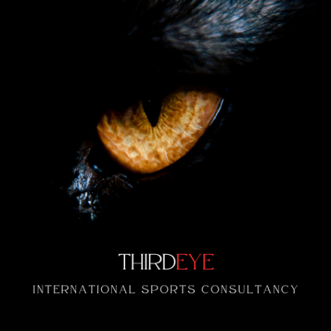 ThirdEYE International Sports Consultancy Logo