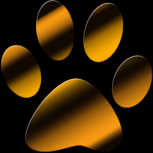 TigerStripesLLC Logo