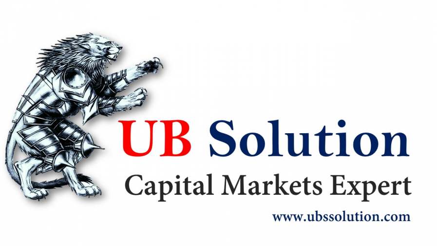 Universal Business Structured Solution Logo