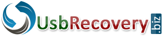 UsbRecovery.biz Logo