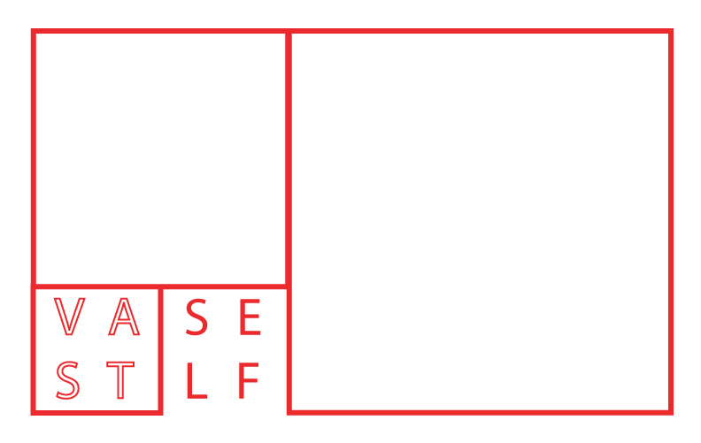 VastSelf Logo