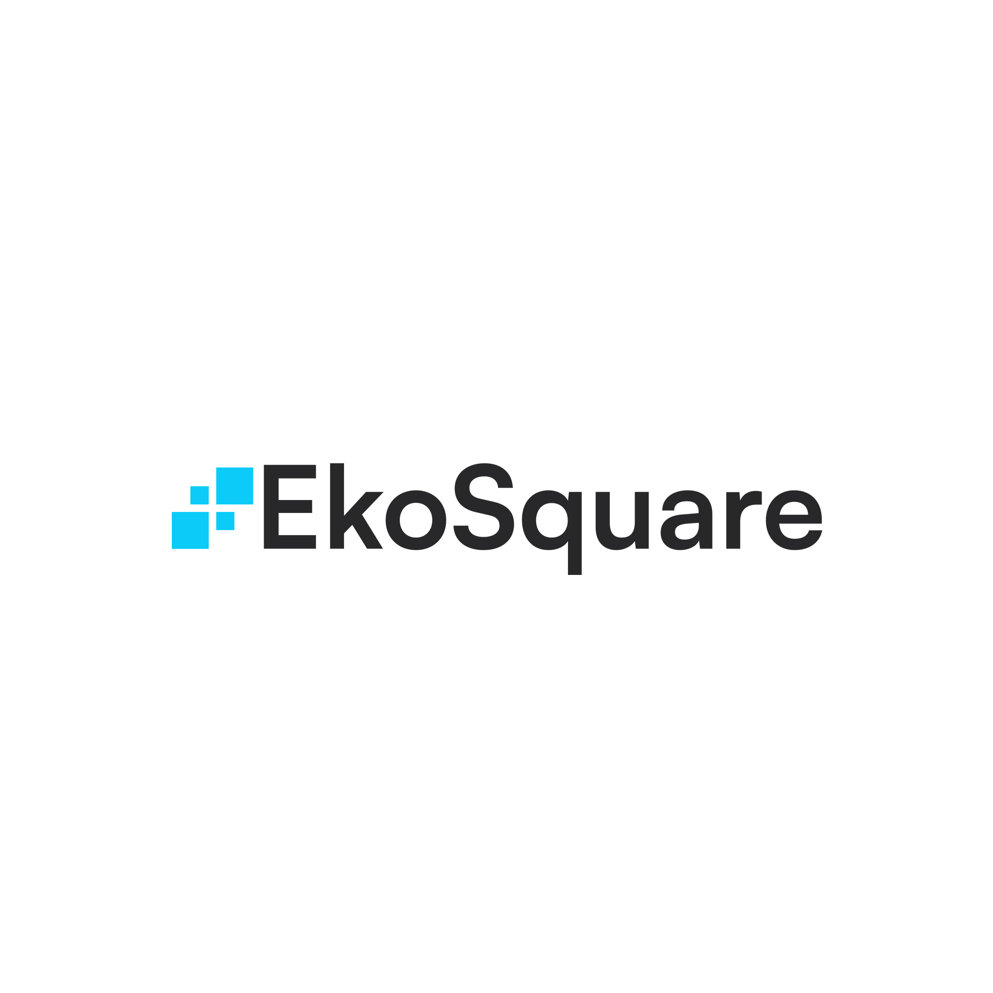 Eko Square Logo
