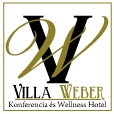Villaweber Logo