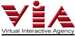 Virtual Interactive Agency Logo