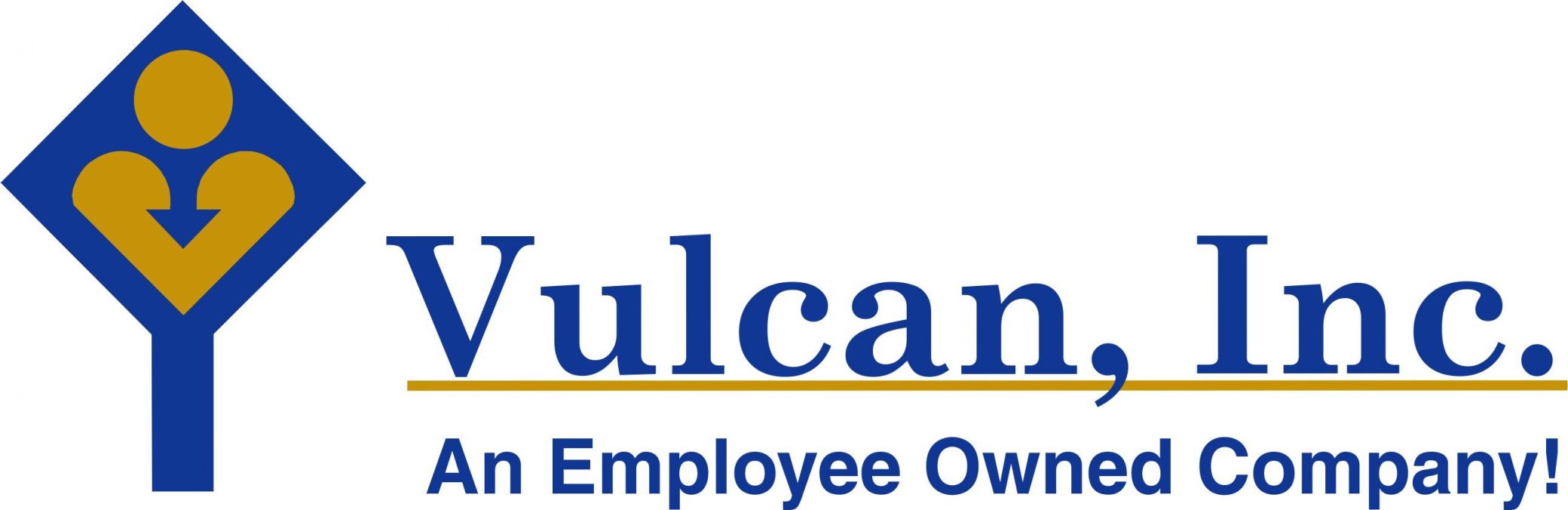 Vulcan, Inc. Logo