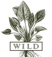 WILDLV Logo