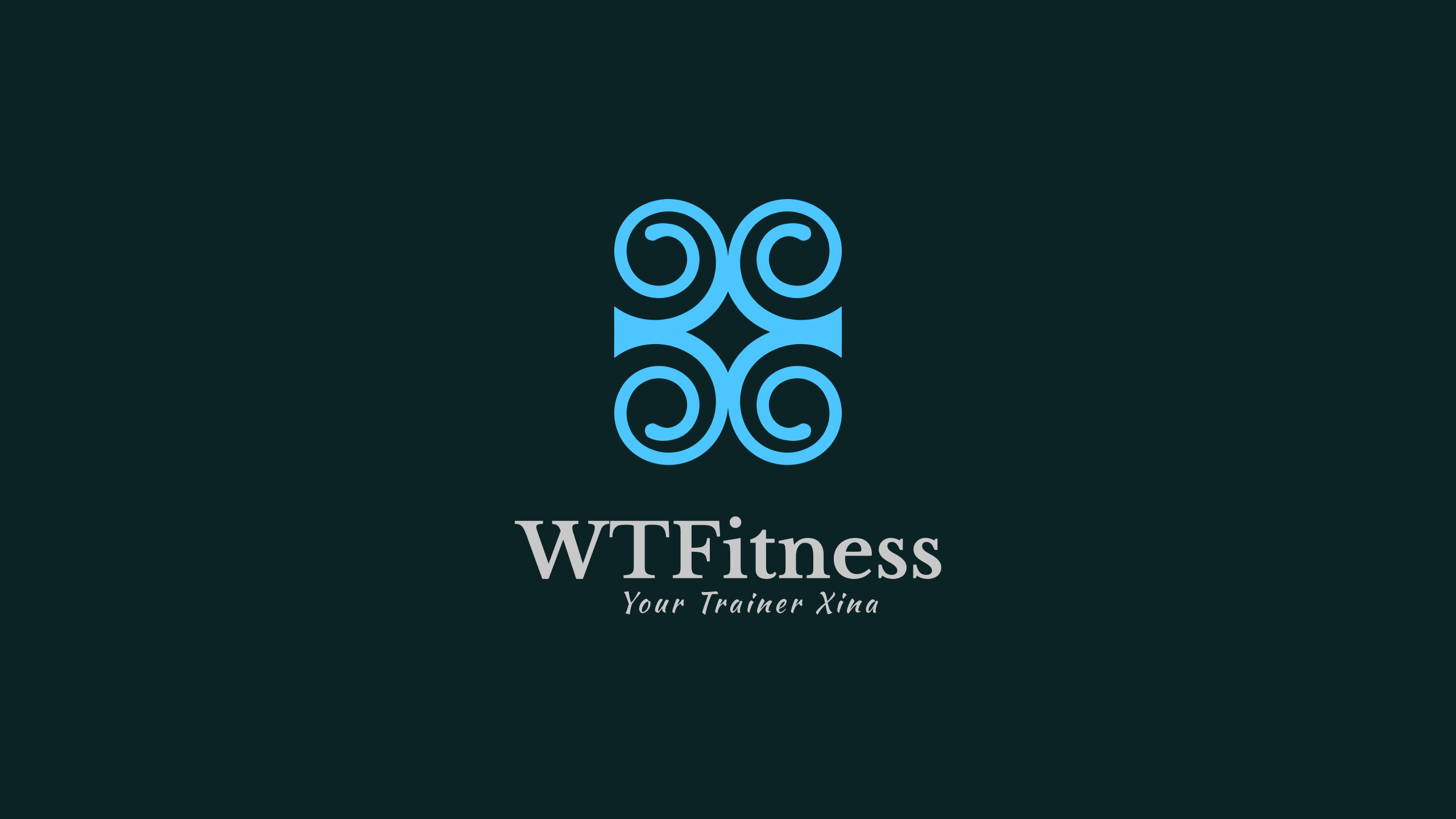 WTFitness Logo