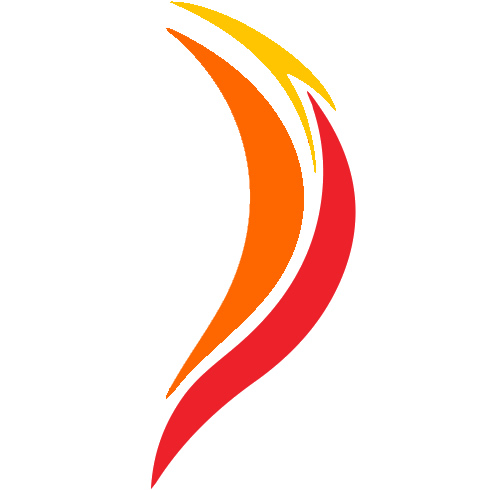 WebFireDesigns Logo