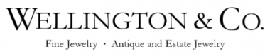 WellingtonAndCo Logo