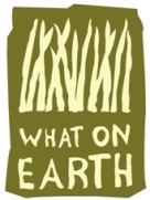 What On Earth Logo