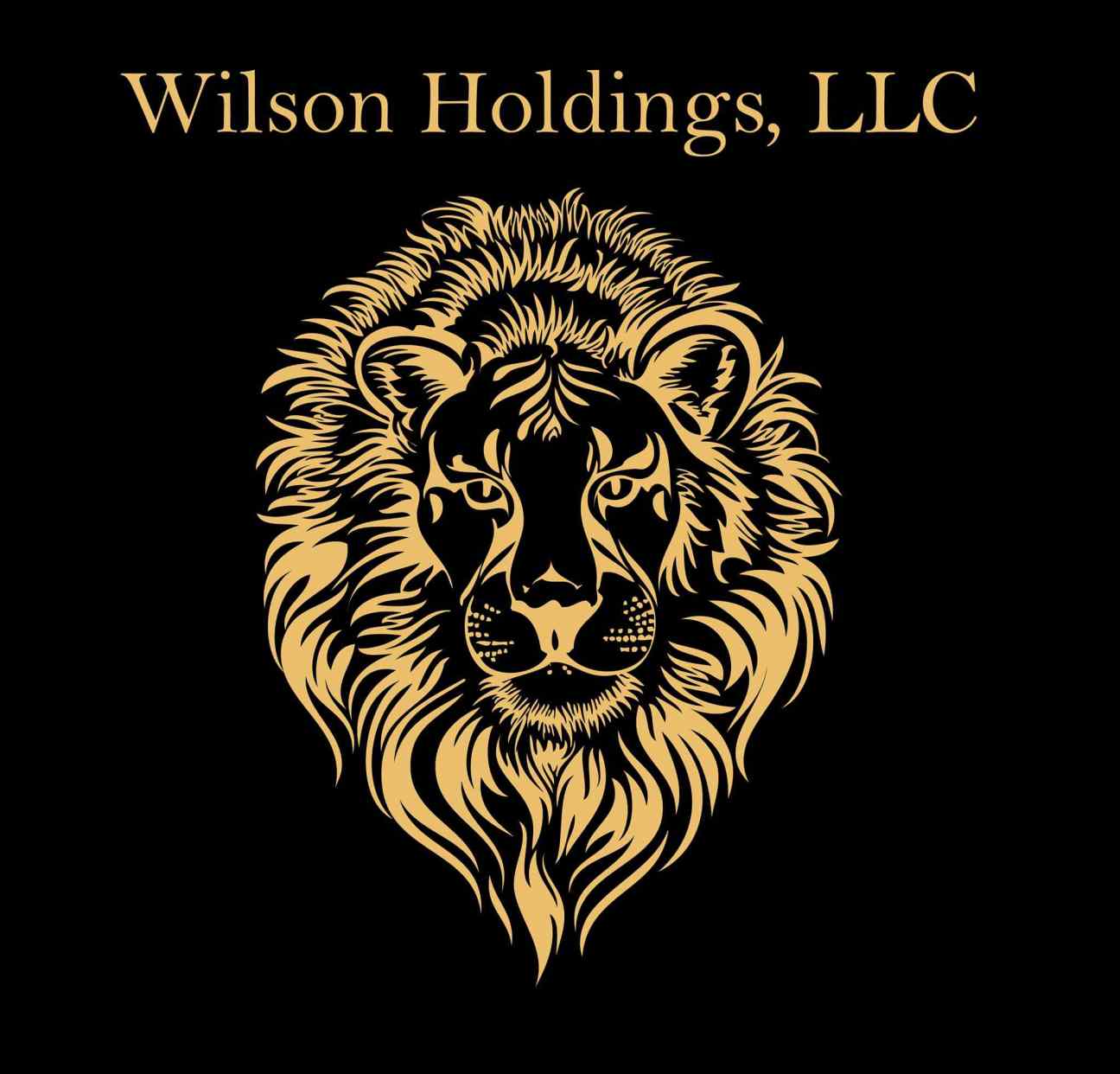 Wilson Holdings, LLC Logo