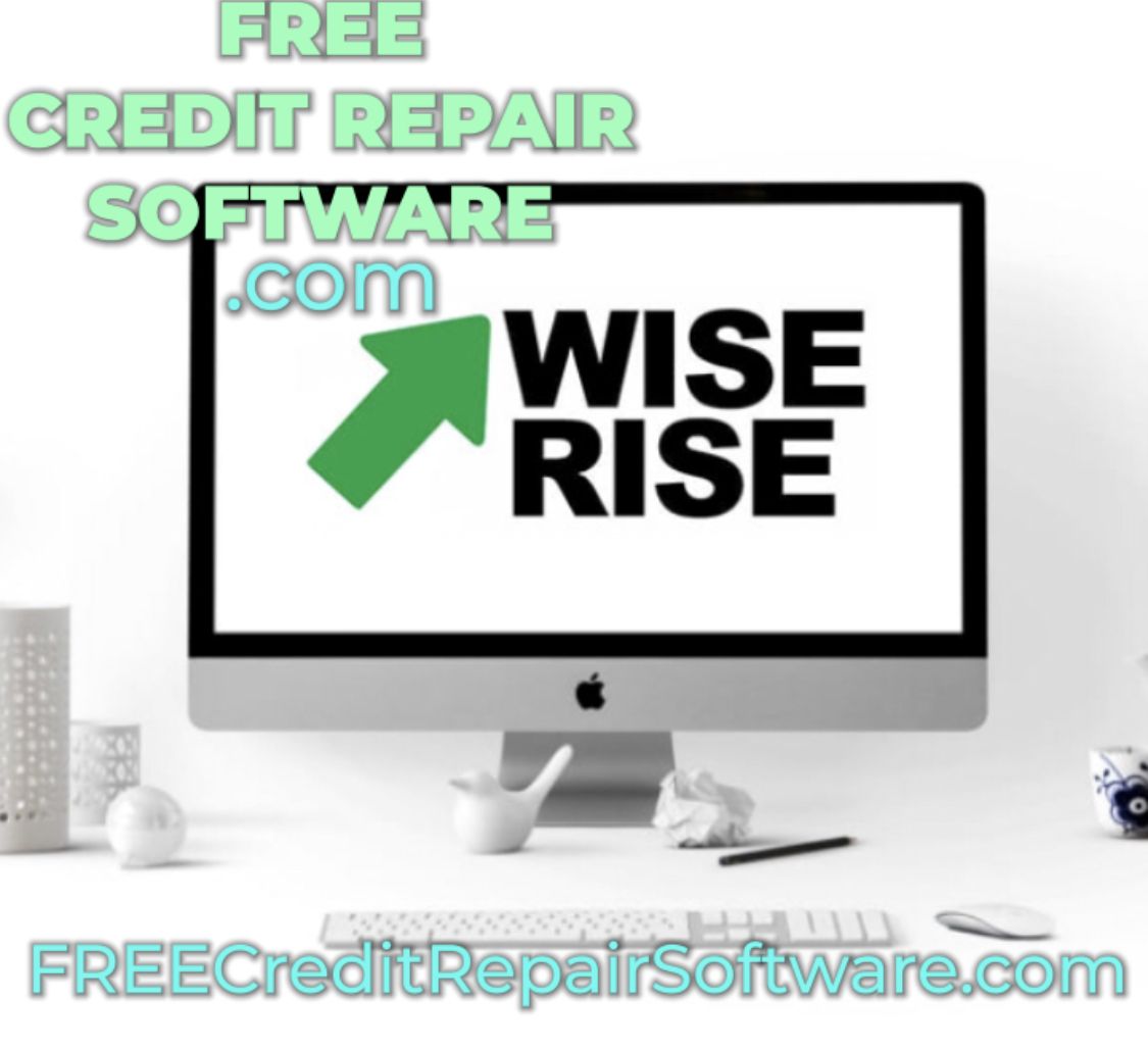 Wise Rise LLC Logo
