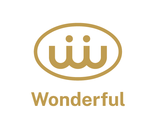 Wonderful Hi-Tech Logo