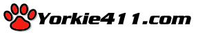 Yorkie411 Logo