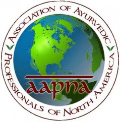 aapna1 Logo