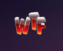wtfdiary.com Logo