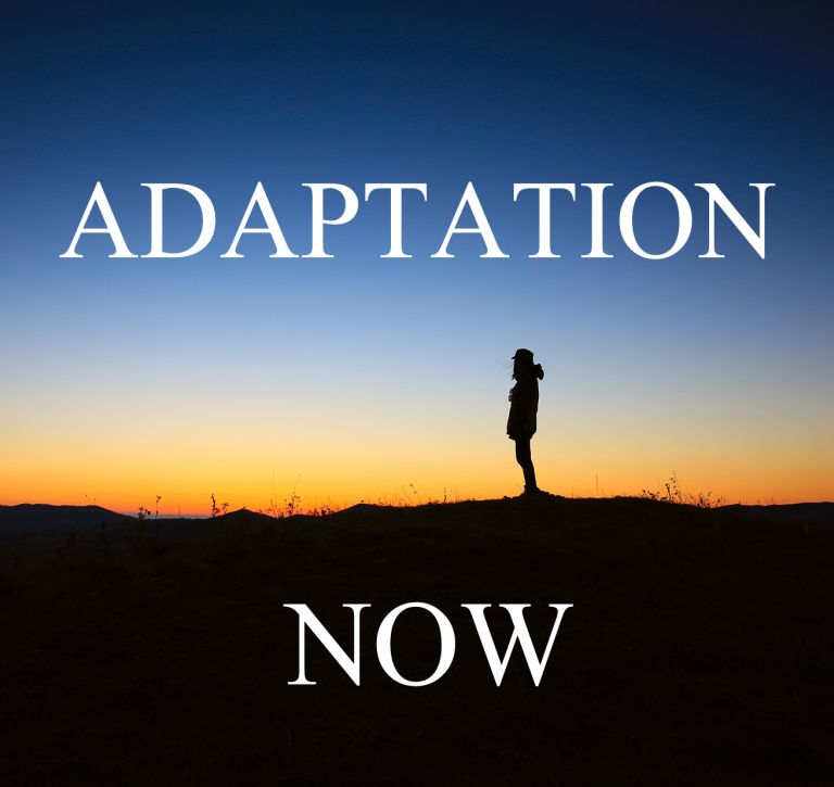 adaptationnow Logo