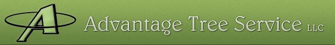 advantagetreeservice Logo