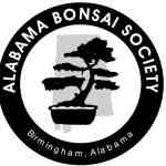 alabamabonsai Logo