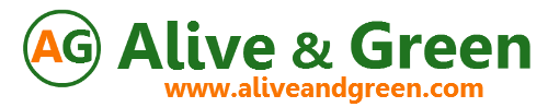 aliveandgreen Logo
