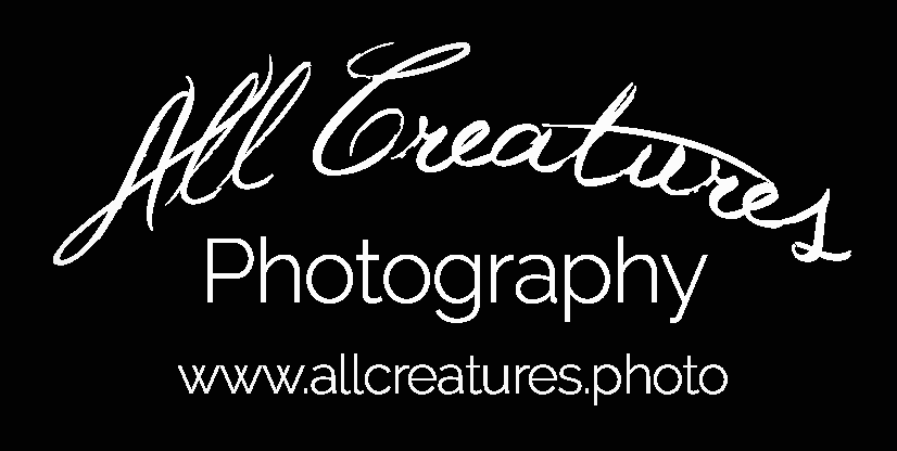 All Creatures Photography Logo