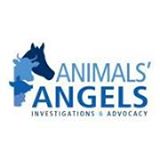 Animals' Angels, Inc. Logo