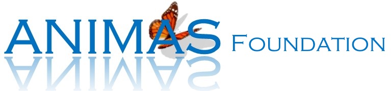 Animas Foundation Logo