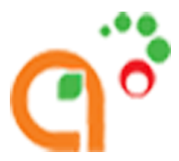 Anisrav IT Solutions Logo