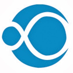 Apeiront Solutions Logo