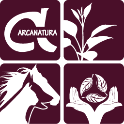 Arcanatura LLC Logo