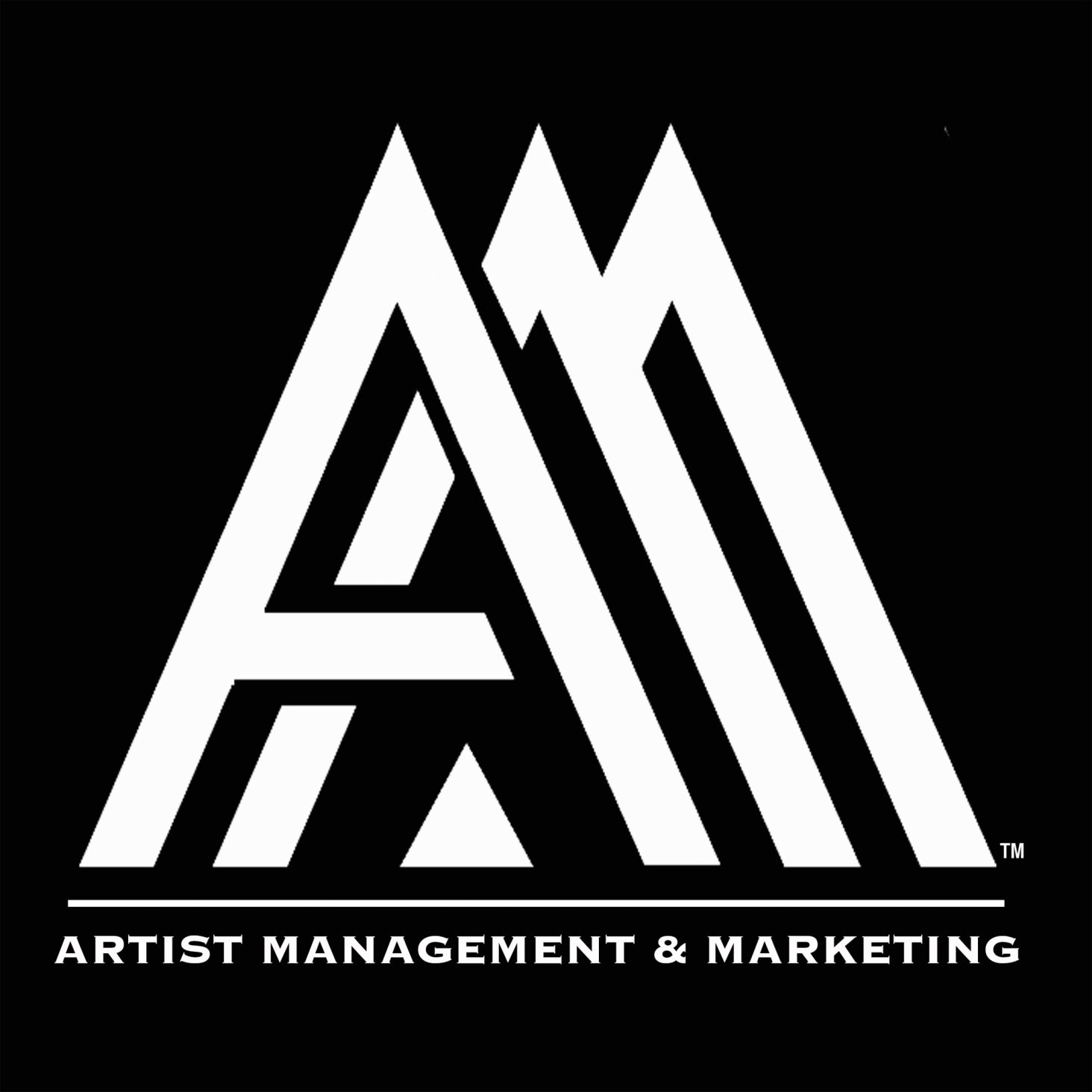 Artist Management and Marketing Logo