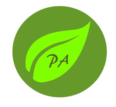 Personal Awareness, LLC Logo