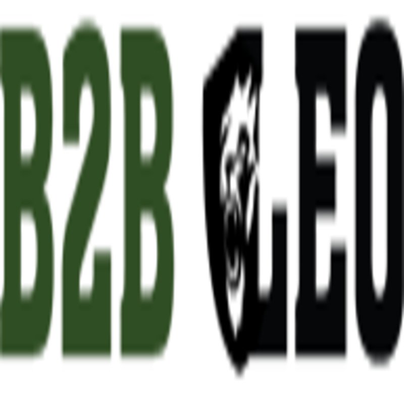 b2bleo Logo